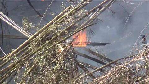 福島・いわき市常磐藤原町の雑木林で火事　近くの小学校では保護者に児童の迎えを呼び掛け　　