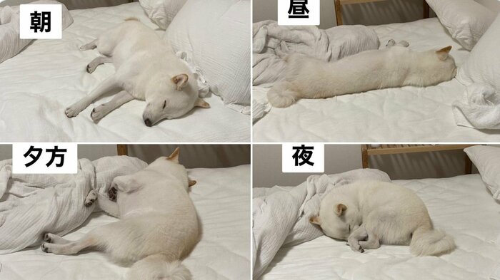 雪海ちゃんのある1日の様子
