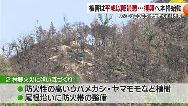 報告書では尾根沿いの防火帯など５つの基本方針