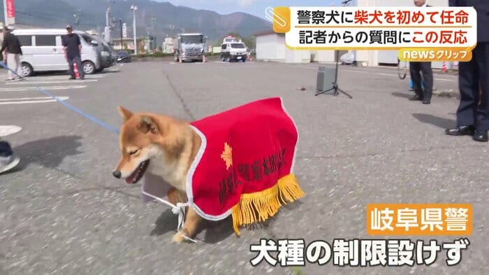 堂々とした歩みを見せるつぶ