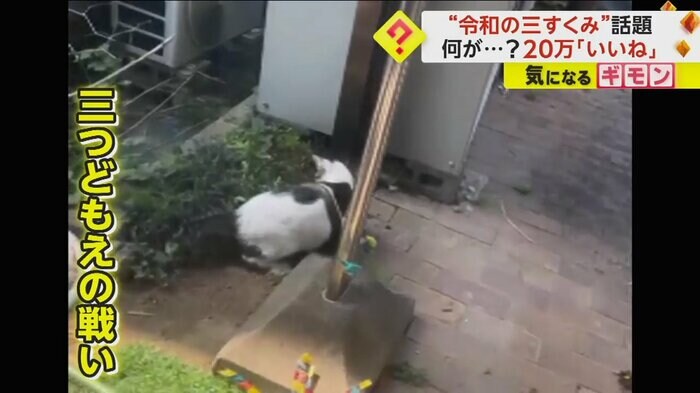 (@kothu03)