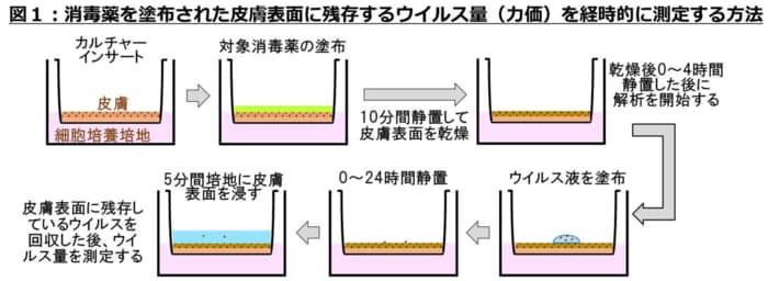 (出典:京都府立医科大学)