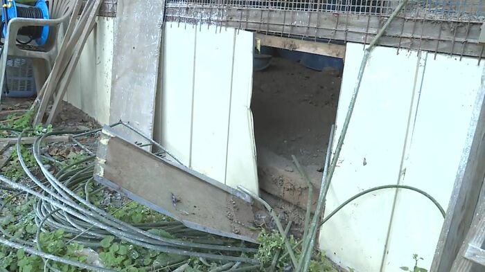 小屋の壁には穴が…