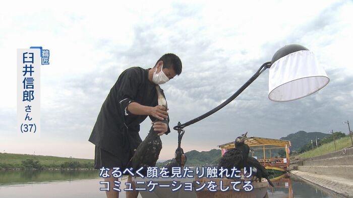 家ごとに鵜飼いの技術を継承してきたが、今季は2つの家が共に漁を行う
