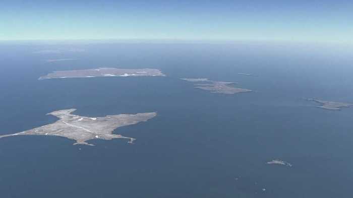 魚の内臓が漂う国後島 北方四島の共同経済活動はゴミ対策から
