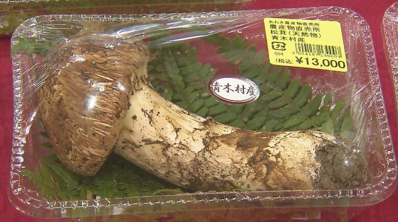 “豊作”の松茸　1パック4500円～1万9000円「都内ではこの値段で買えない」　道の駅に開店前から長い列　雨が続き生育順調、10日間で1200パック並ぶ　10月中旬まで入荷続く見込み　長野・青木村｜FNNプライムオンライン