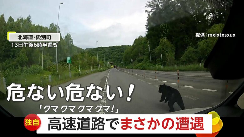 【独自】「クマ、クマ、クマ、クマ！」高速道でクマが飛び出し…あわや衝突も急ブレーキで回避　北海道・愛別町｜FNNプライムオンライン