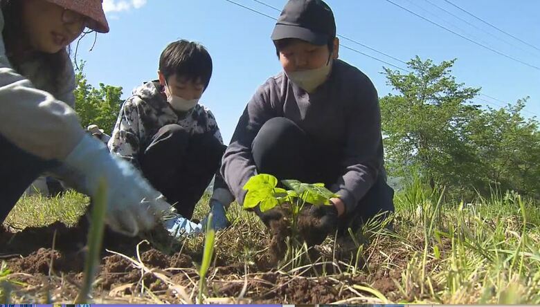 【戦後80年】被爆したアオギリの種から育てた苗木を植樹　「広島、長崎のようなことが二度と起きないように」｜FNNプライムオンライン