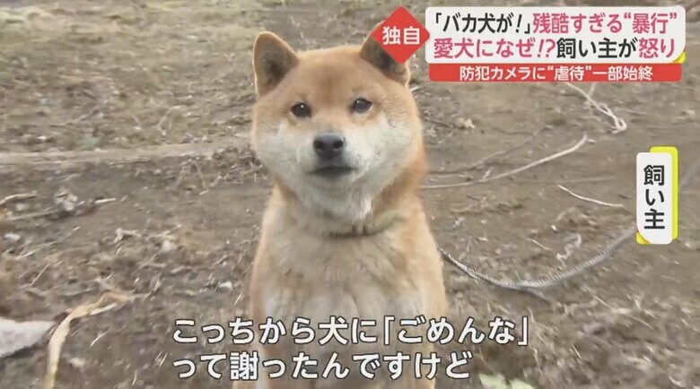 バカ犬が 防犯カメラが捉えた衝撃の一部始終 叫びながら繰り返し暴行する男