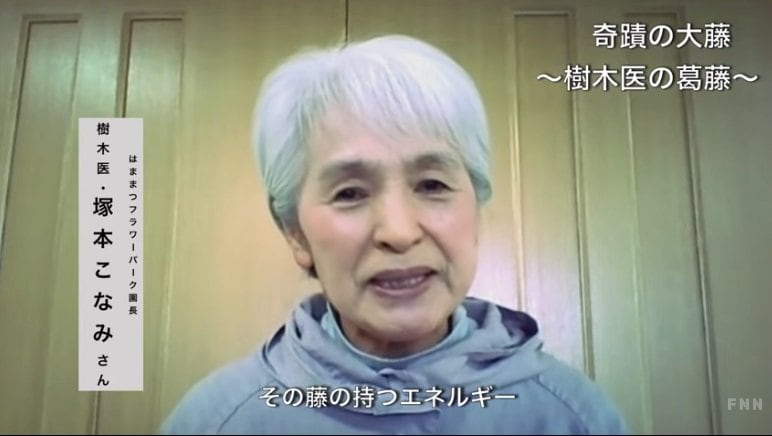 樹木医　塚本こなみさん（71）