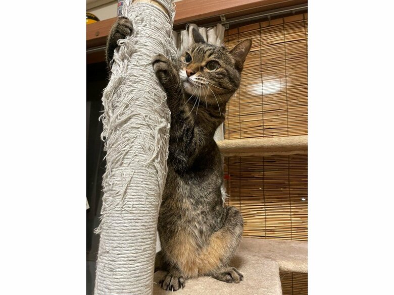 提供：えーさん