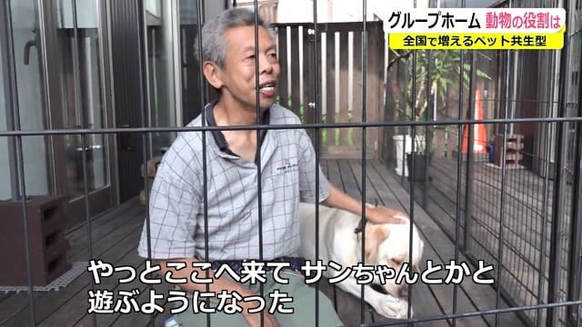 動物と触れ合う入居者たち