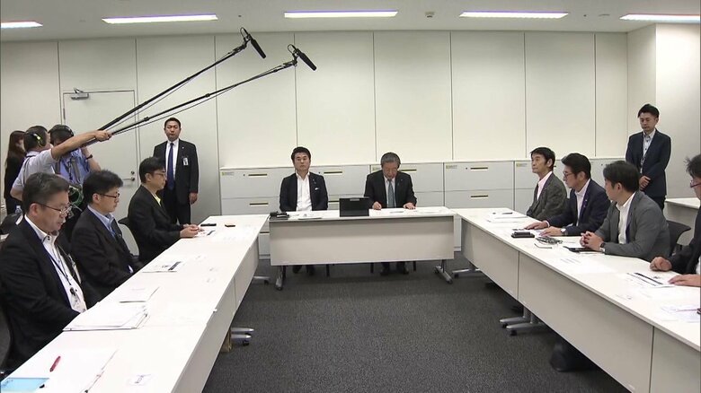 与党検討委員会によるヒアリング（2024年7月24日・東京）