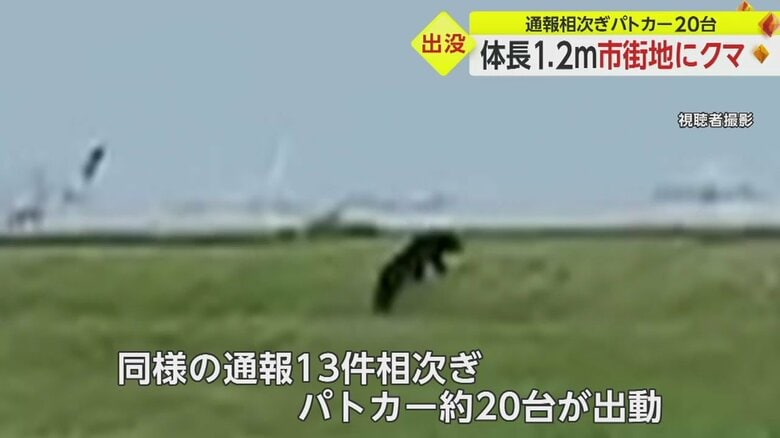 跳ねるように、軽々と土手を上っていく