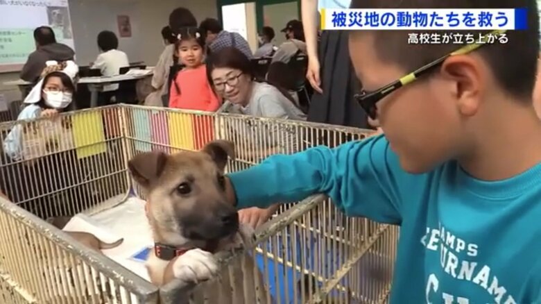 進徳女子高校での保護動物譲渡会