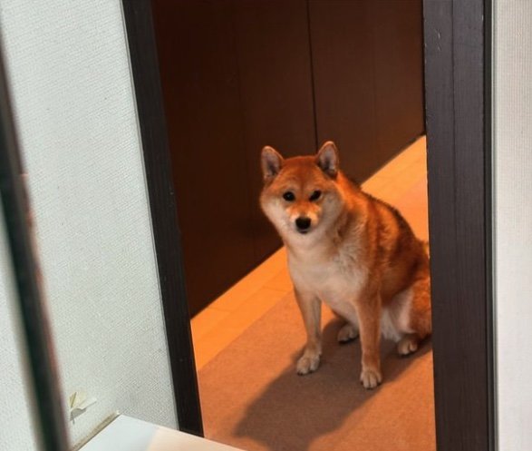 提供：はちさん