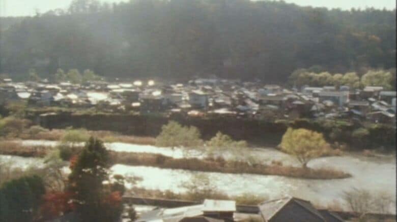 広瀬川の対岸から撮影された追廻住宅（1970年代）