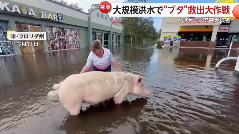 ミリーをさすってなだめる女性