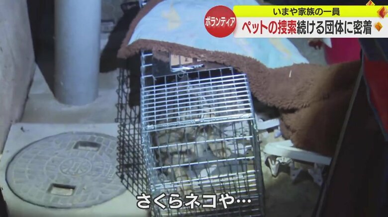 時には野良猫が入るときも…