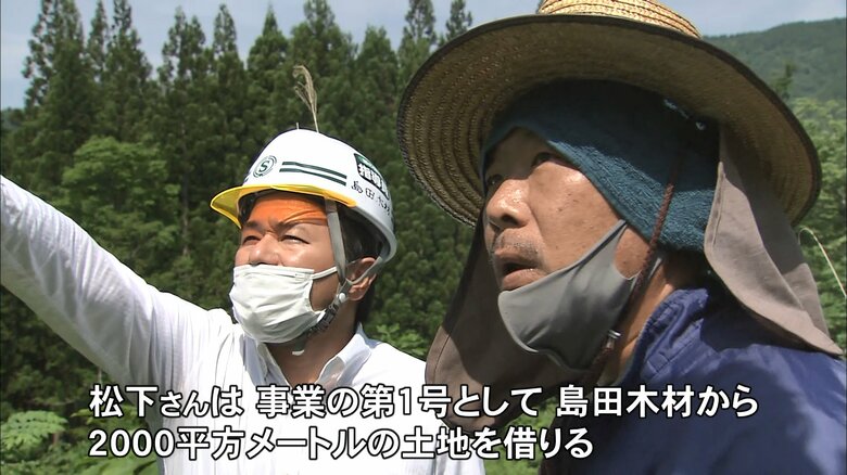 新規事業を立ち上げた島田木材と松下さん