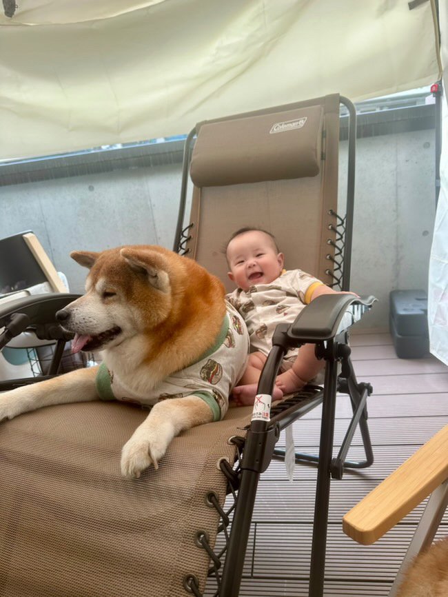 提供：飼い主さん（＠shibainu.berry）