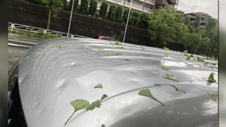 ひょうの被害の様子