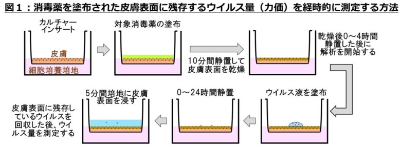 （出典：京都府立医科大学）