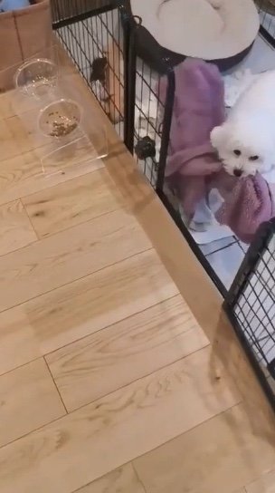 提供：エマ emmaさん