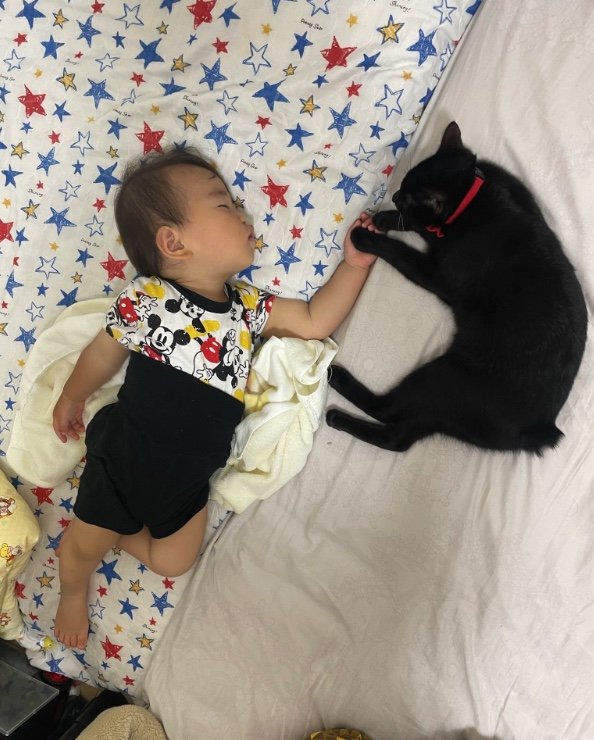 提供：ゴンゾウR4さん