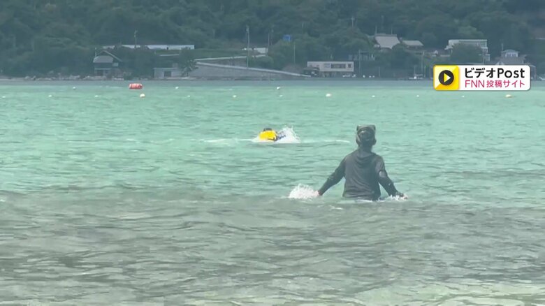 イルカが子どもを襲う一部始終⑤（全18枚）