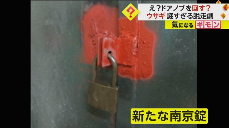 （札幌市円山動物園）