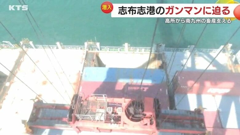 寸分の狂いもないプロの仕事