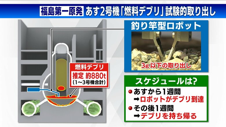 取り出しまで2週間かかる