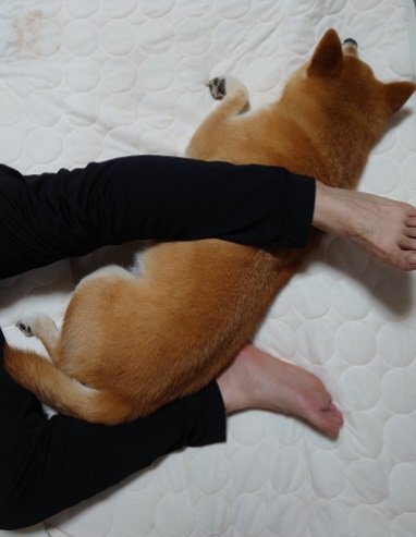 たまにはパパの足と絡まっちゃうことも？