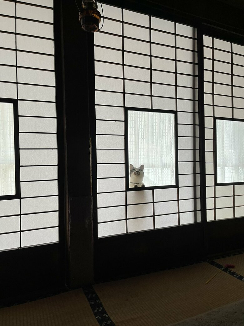 提供：いのうえもんぺさん