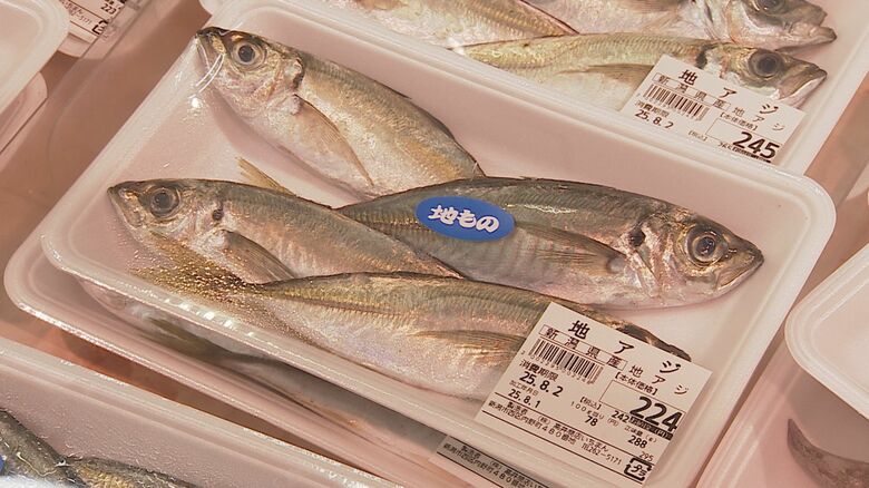 鮮魚の仕入れにも苦労