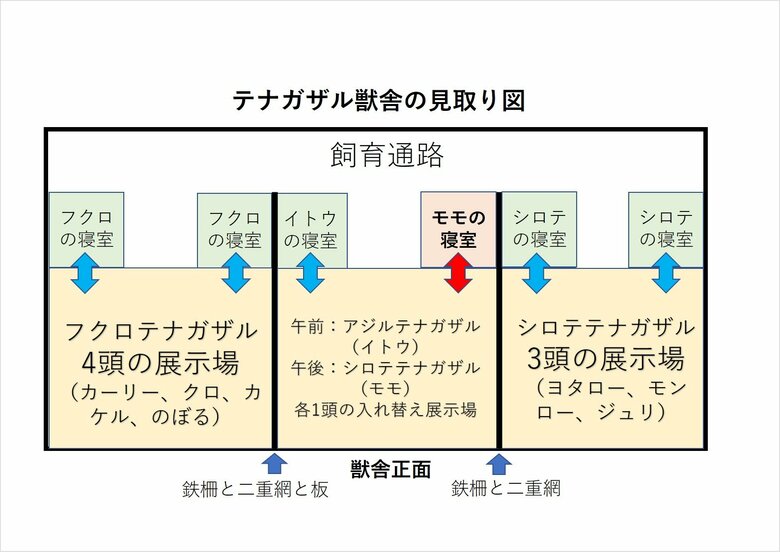 2021年当時のテナガザル獣舎の見取り図（森きららの回答を基に作成）