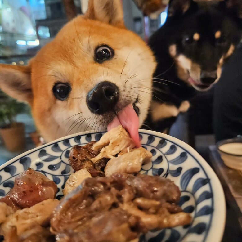 提供：kuroazu_beansさん