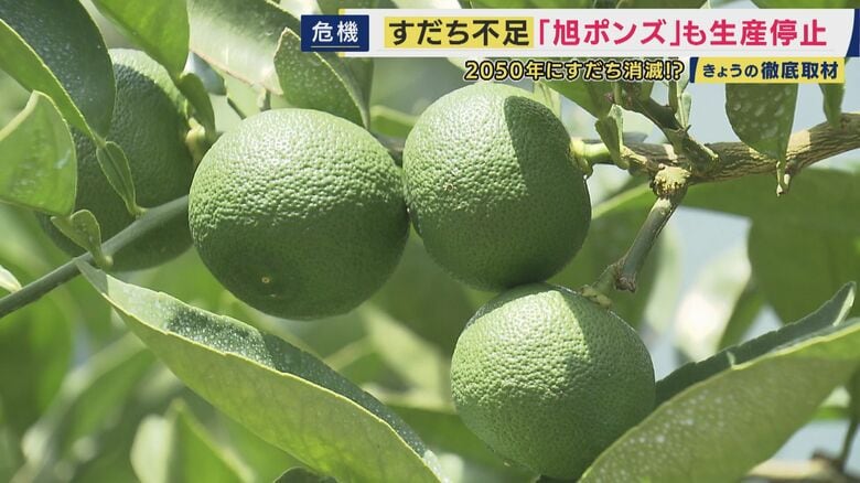 関西の食卓を彩ってきたすだち