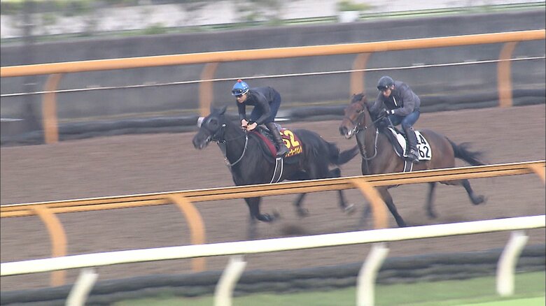 ウォーターナビレラ