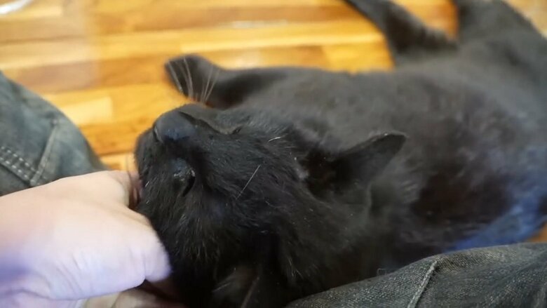 リラックスした様子