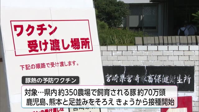 隣県と足並み揃え宮崎県　豚熱ワクチン接種開始