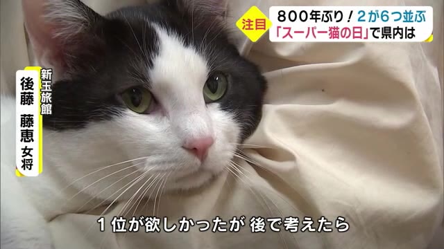 ８００年ぶりの２並びで スーパー猫の日 可愛らしい猫に癒される 大分