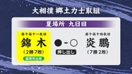 錦木（岩手・盛岡市出身）炎鵬に押し出しで敗れ2勝7敗　大相撲夏場所9日目