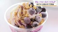 富谷市特産ブルーベリーを使ったスイーツフェアが６月２５日から開幕　全国向けゆうパックも出発〈宮城〉