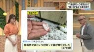 【福島県・5月14日の天気】雷三日…14日も注意　13日の降雹で被害も