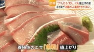 物価高騰の波が“養殖ぶり”にも…エサの“魚粉”も1.3倍超に値上がりラーメン店にも影響　中東情勢や円安が水産業を直撃