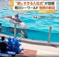 “激しすぎる入社式”鴨川シーワールドでシャチが豪快な水かけ　“新入生らしくない”新入生…元教師が華麗な転身