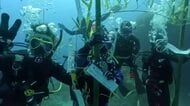 子どもたちの願いを海中へ！“水中七夕祭り”がダイビングシーズンの幕開け告げる「短冊でにぎやかに」新潟・佐渡市