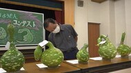 ユニークな形「恐竜ひょうたん」コンテスト ~福井県~